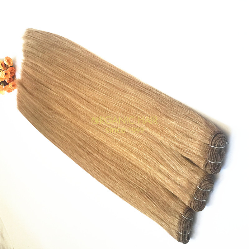 Cheap virgin brazilian human hair extensions